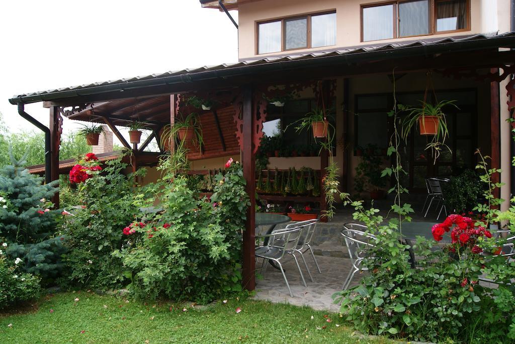 Pensiunea Bujorul Comăna Exterior foto