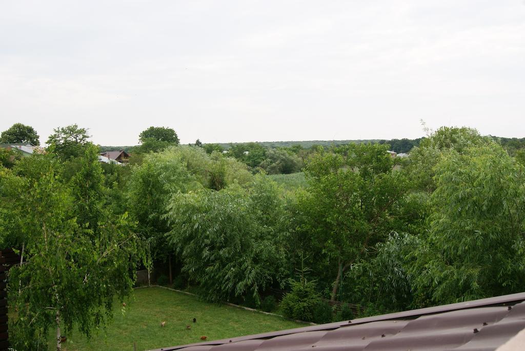 Pensiunea Bujorul Comăna Exterior foto