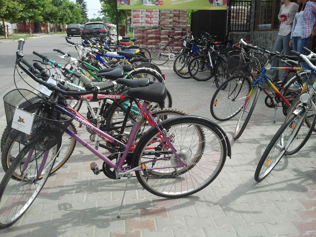 Pensiunea Bujorul Comăna Exterior foto