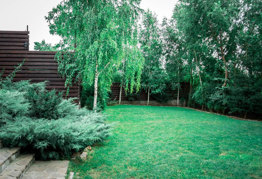 Pensiunea Bujorul Comăna Exterior foto
