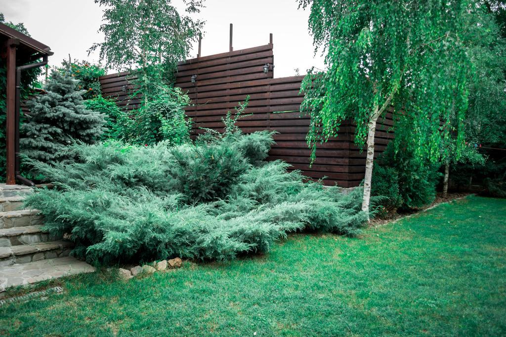 Pensiunea Bujorul Comăna Exterior foto