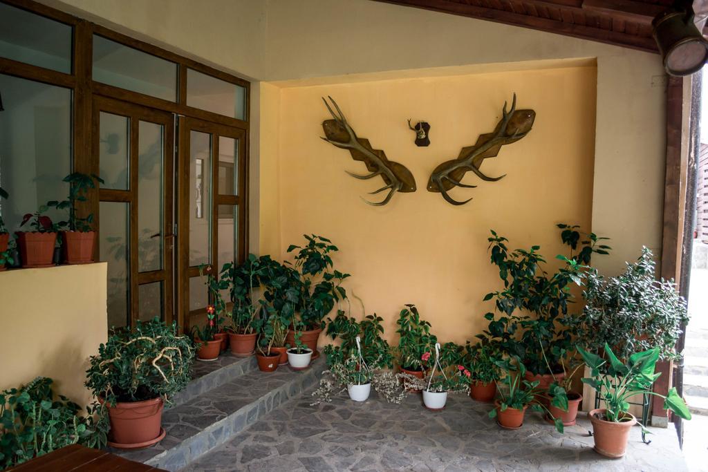 Pensiunea Bujorul Comăna Exterior foto